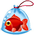goldfish