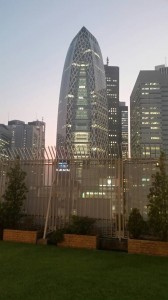 IMG_0401