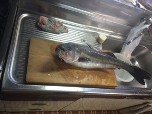 IMG_0709[1]