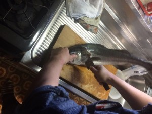 IMG_0710[1]