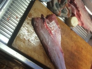 IMG_0713[1]